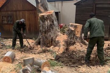 Stump Removal Fourways